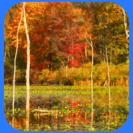 Cuyahoga Valley National Park