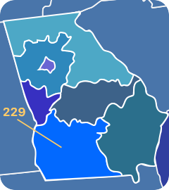 229 area code map