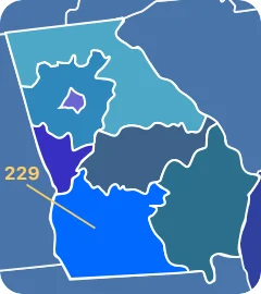 229 area code map