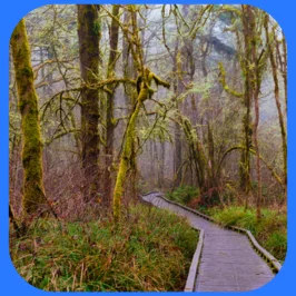 Tualatin Hills Nature Park