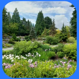 Bellevue Botanical Garden