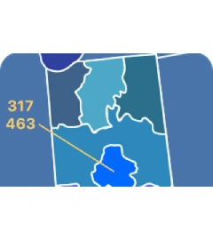 317 and 463 area code map