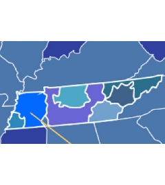 731 area code map 