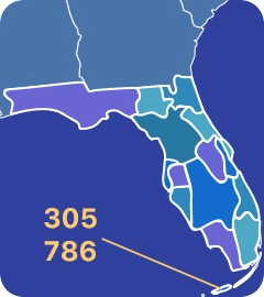 305 area code map 