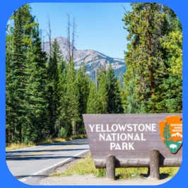 Yellowstone National Park