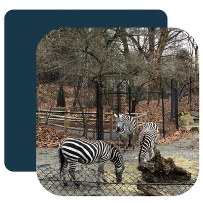 Roger Williams Park Zoo