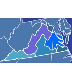 804 area code map 