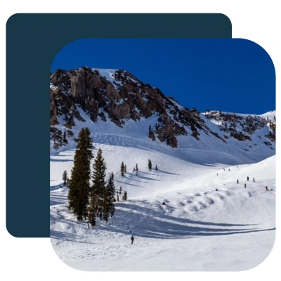 Snowbird Resort