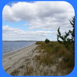 Cattus Island County Park