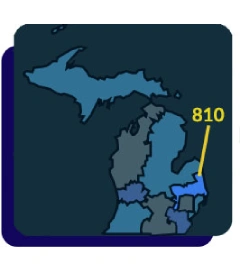 flint 810 map