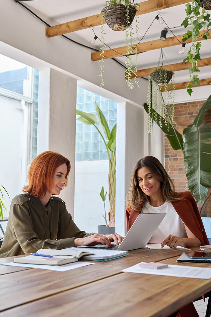 two-female-executives-talking-about-work-computer